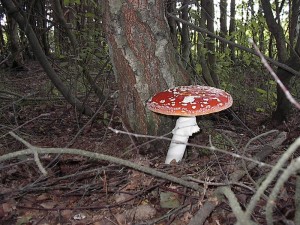 2001.08.06 17.19.48.jpg